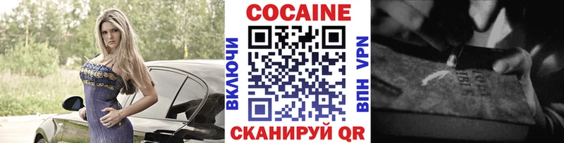 MEGA   Гатчина  Кокаин Columbia 