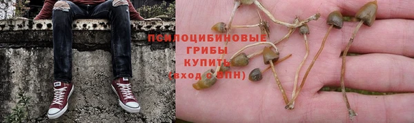 индика Беломорск