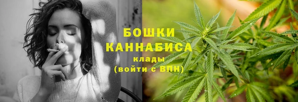 индика Беломорск
