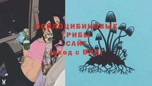 дживик Белоозёрский