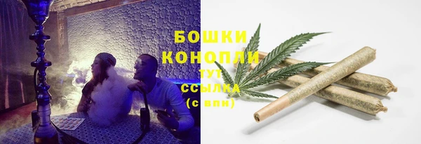 дживик Белоозёрский