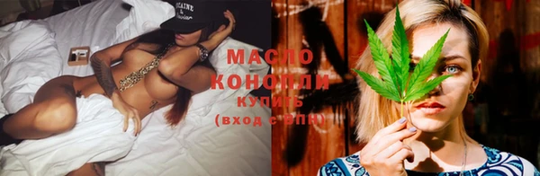 индика Беломорск