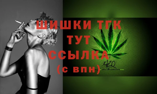 индика Беломорск