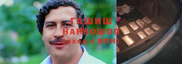 индика Беломорск