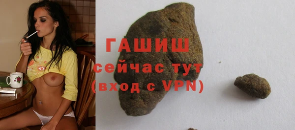 индика Беломорск