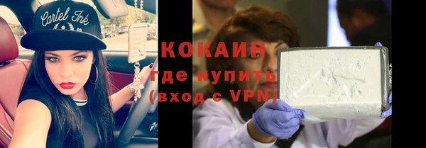 индика Беломорск