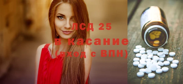 индика Беломорск