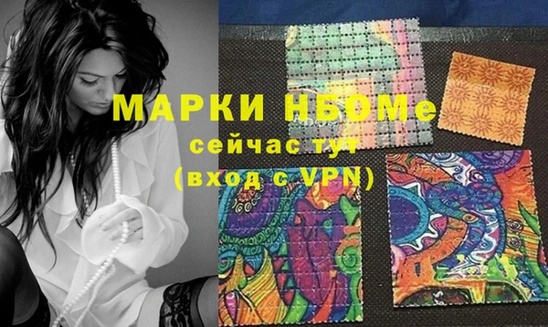 индика Беломорск