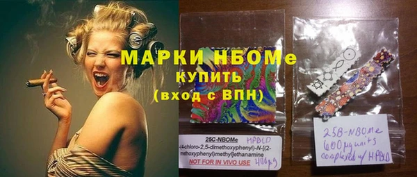 индика Беломорск
