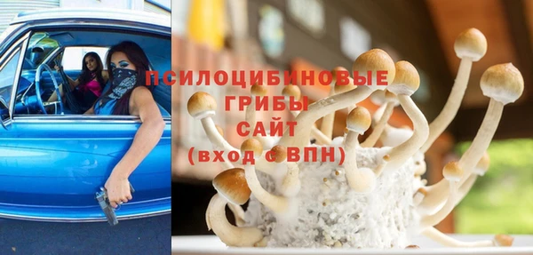 индика Беломорск