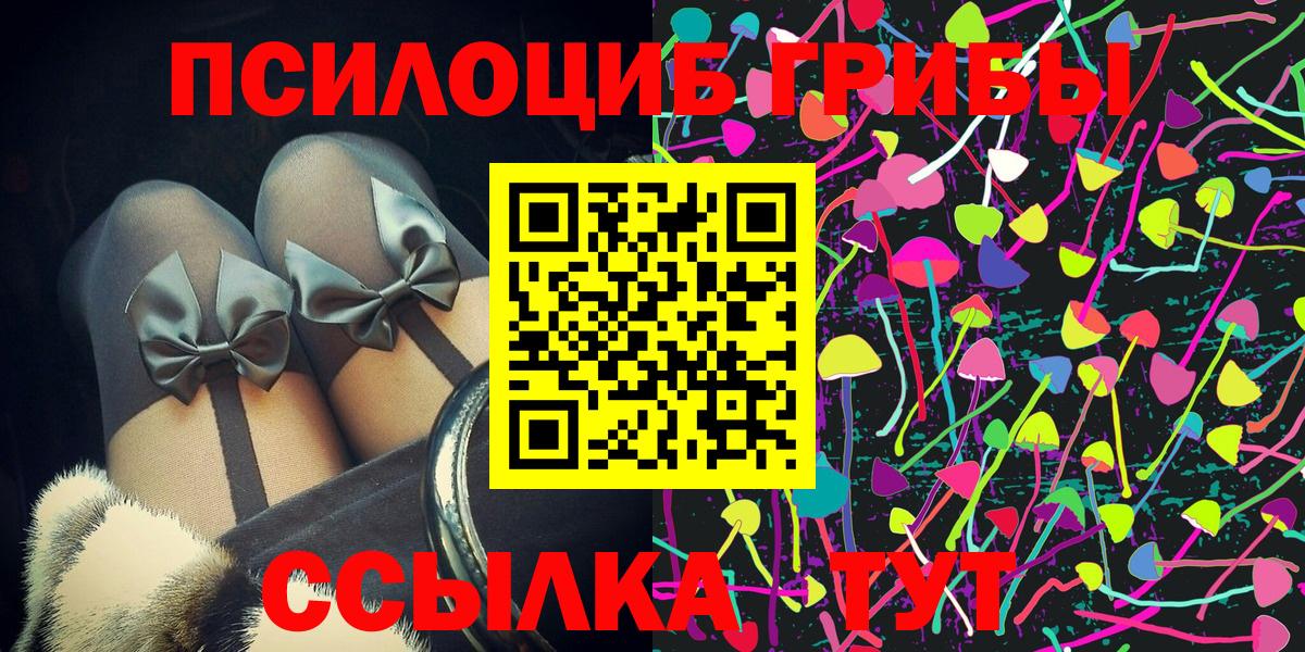 Псилоцибиновые грибы Psilocybe Гатчина