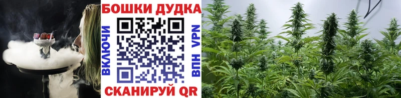 KRAKEN   Гатчина  сайты даркнета официальный сайт  Канабис гибрид 